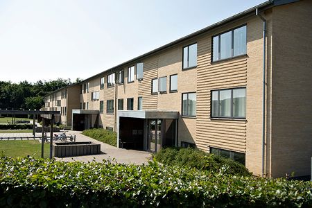 Østervang, 22 st.tv, 8840, Rødkærsbro - Photo 5