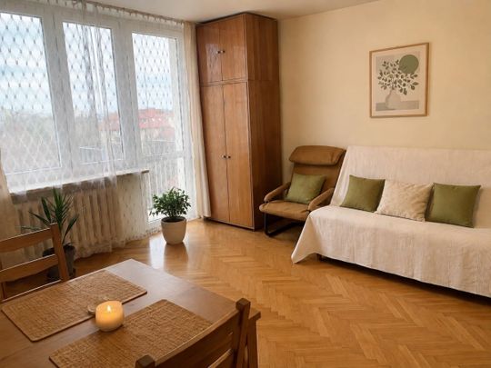 Cicha kawalerka do wynajęcia/10min do Metra Wierzb 30.24 m² - Zdjęcie 1