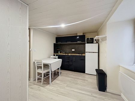 Location Appartement 1 pièce 20m² - Photo 3
