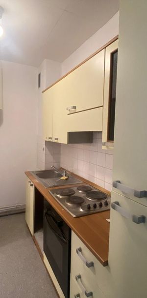 Location Appartement 2 pièces 33m² GRENOBLE 38000 - Photo 1