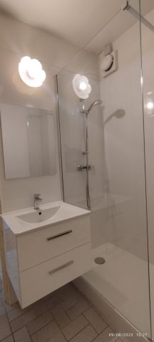 Location Appartement 3 pièces 50m² VILLEJUIF 94800 - Photo 5