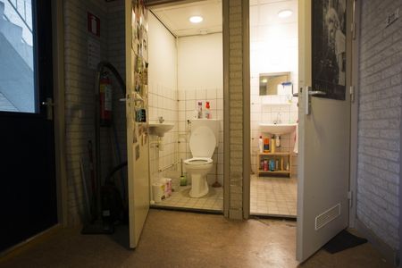 Statensingel 203, Room no. C14 - Photo 4