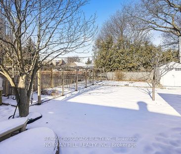 For Lease - 3 Christina Crescent Unit# - BASEMENT, Toronto, Ontario - Photo 5