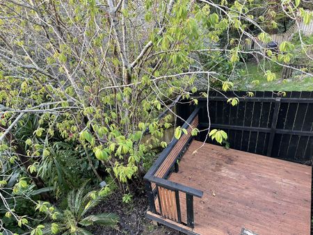 Property Management19 Golf Road, New Lynn - House for Rent - Photo 2