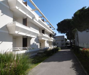 Location Appartement 1 pièce Meublé 26m² MONTPELLIER 34080 - Photo 1