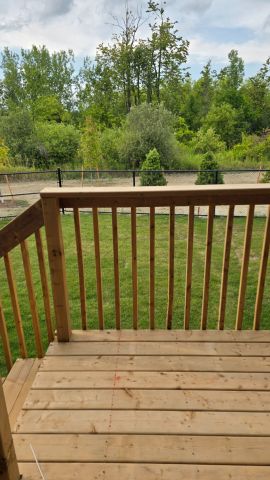 For Lease - 29 Hickey Lane, Kawartha Lakes, Ontario - Photo 5