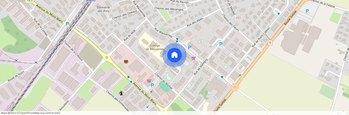 1196, Gland, Rue Mauverney, 20