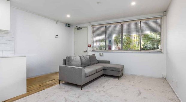 Furnished Studio in Prime Grey Lynn - Photo 1