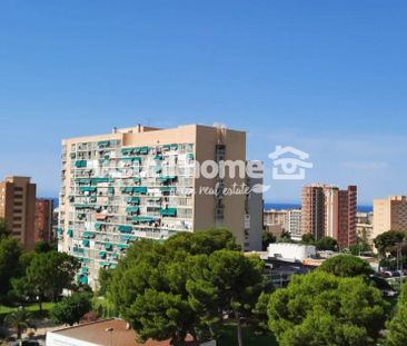 Apartamento de 51 m² en Benidorm zona Juzgados - Photo 4