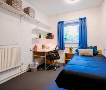 Standard Shared - Photo 2