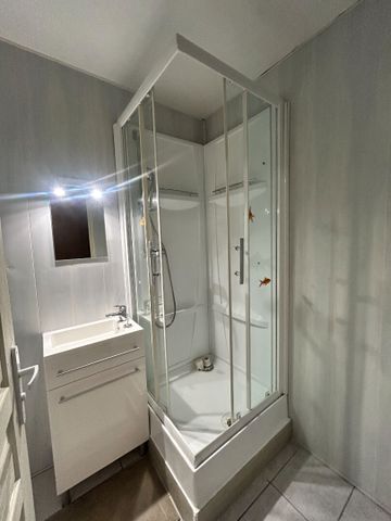 Location Appartement 1 pièce 24m² - Photo 4