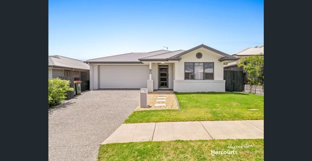 Modern Family Living with Huge Solar Savings - Photo 1