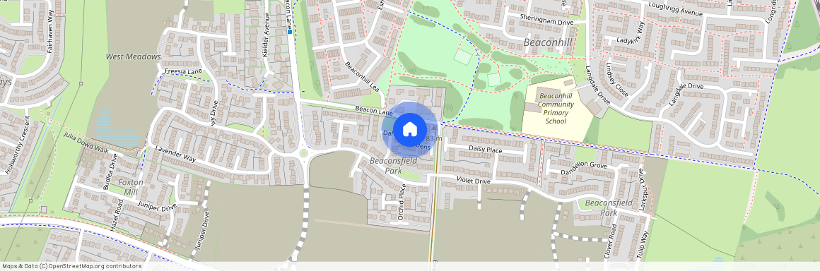Daffodil Gardens, West Meadows, Cramlington, Northumberland, NE23 8FT