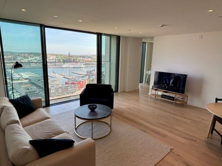 Lodjursstråket, Göteborg - Photo 2