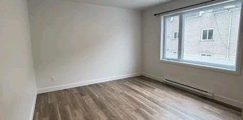Très beau 4 1/2 Lumineux - Photo 2