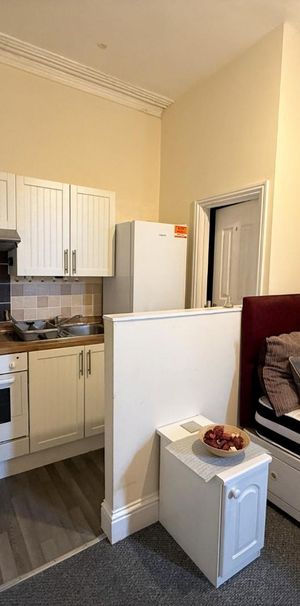 Alma Road, Plymouth - Photo 2