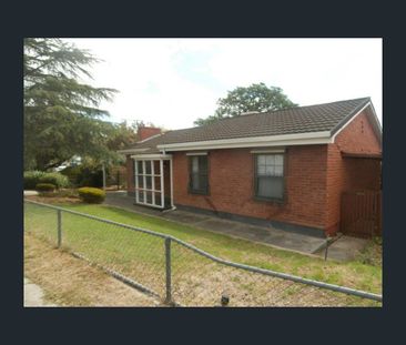 1 Ward Terrace, Enfield, SA 5085 - Photo 3