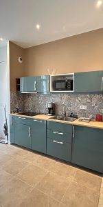 Location Appartement 1 pièce 24m² ST ETIENNE 42000 - Photo 4