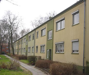- 3 Zimmerwohnung in Bonn Kessenich - - Photo 2