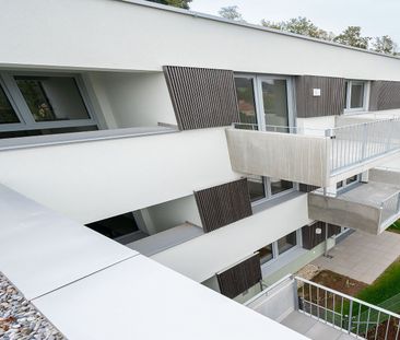 WirtschaftseinheitNEULENGBACH IX/1 - Photo 1