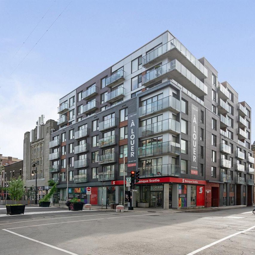 1 Bedroom - 1325 Rue St-Andre, Montréal - Photo 1