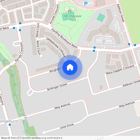 29 BINGHAM STREET, Richmond Hill