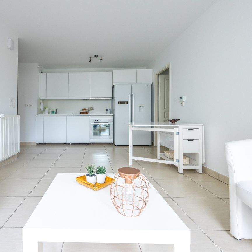 T2 MEUBLÉ - Photo 1