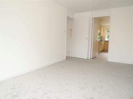 1 Bedroom - Photo 5