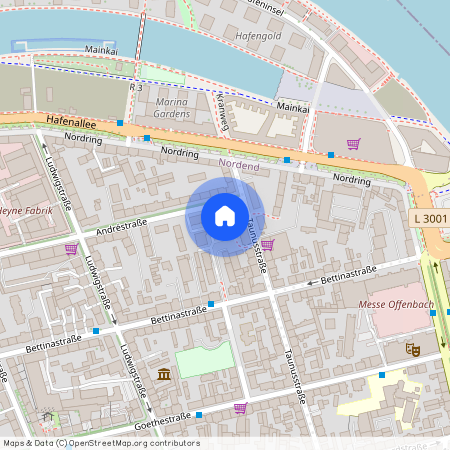 Taunusstraße 64, 63067, Offenbach Am Main