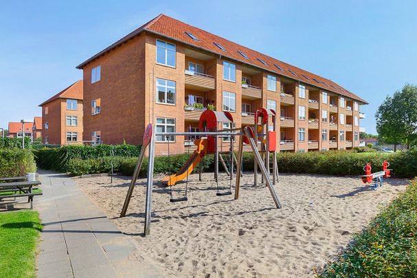 Afd. 9 Rosenvænget 3 - Photo 1