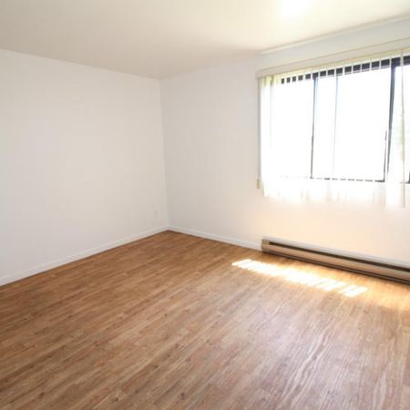 A Valleyfield - Beau, grande et propre - 3-1/2, aavec balcon, LIBRE - Photo 3