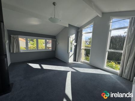 Spacious Family Living in Prime Ilam Location - Photo 3