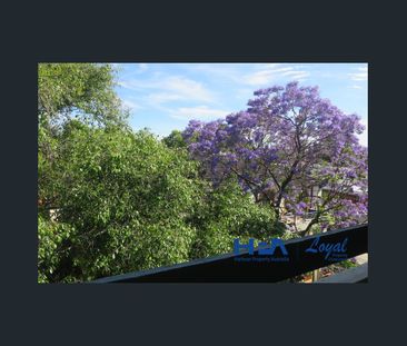 Comfortable & Convenient One Bedroom in Chatswood - Photo 3