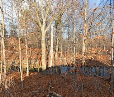 For Lease - 1837 Sevenoaks Drive, Mississauga, Ontario - Photo 5