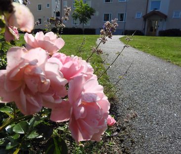 Johan skyttes väg 19 - Foto 2