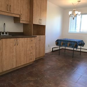 3 Chambres Pres Blv Duplessis - Photo 3