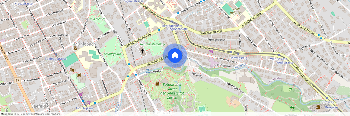 8008, Zürich, Felsenstrasse