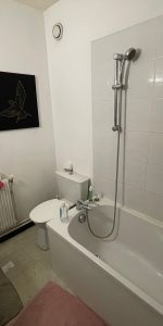 Location Appartement 1 pièce 31m² LILLE 59000 - Photo 4