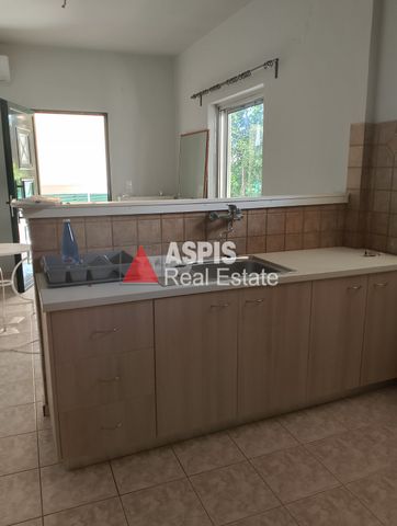 Μονοκατοικία, προς ενοικίαση Κέντρο, Μαρκόπουλο Κωδικός 2362097 - Photo 3