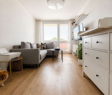 Pronájem bytu 2+1 v osobním vlastnictví 44 m², Krupka - Photo 1