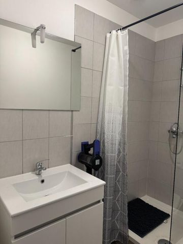 Location Appartement 1 pièce Meublé 21m² ROANNE 42300 - Photo 5