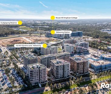 READY TO MOVE IN Two Bedroom Apartment Walking Distance to Tallawon... - Photo 5