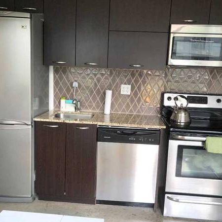 150 Sudbury St - Large Beautifully Furnished Bachelor Unit With A Den - Photo 1