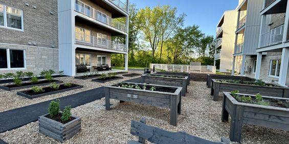 4 ½ à Louer, Animaux Acceptés! - Photo 3