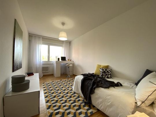 8606 Greifensee - Photo 1