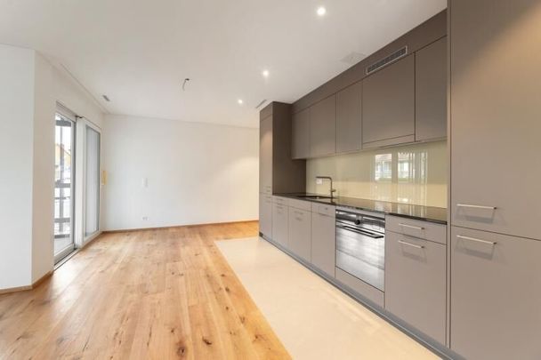 Homely Bijou – New modern building in Höri - Photo 1