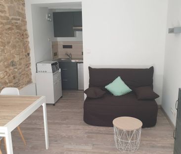 Location Appartement 1 pièce 16m² NIMES 30900 - Photo 2