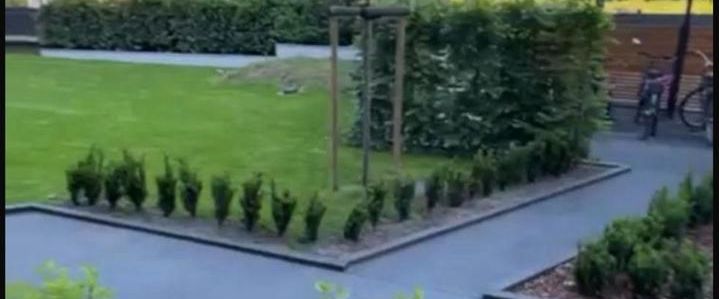 Traumwohnung in Berlin/Zehlendorf - Foto 1