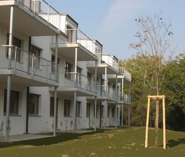 Traumhafte Maisonettewohnung in Katzelsdorf - ideal für Familien - Photo 1