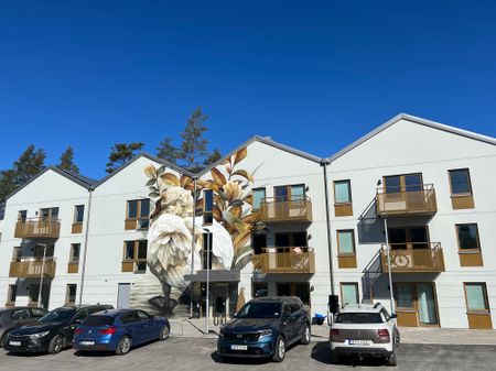 Taggsvampsvägen 10 - Foto 3